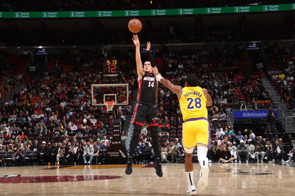 导和支持 导和支持